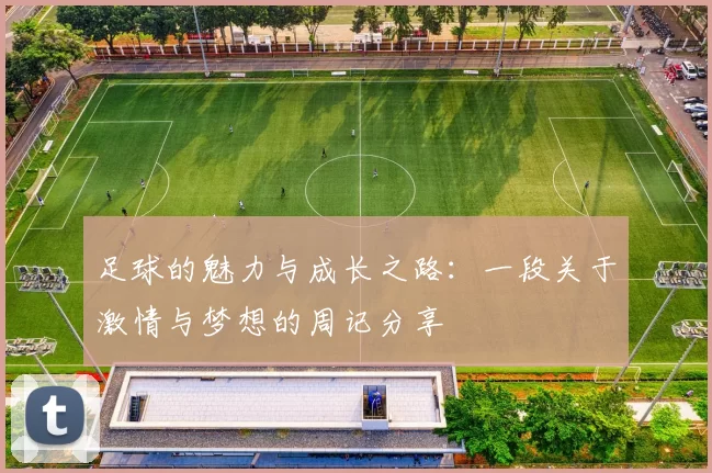 足球的魅力与成长之路：一段关于激情与梦想的周记分享